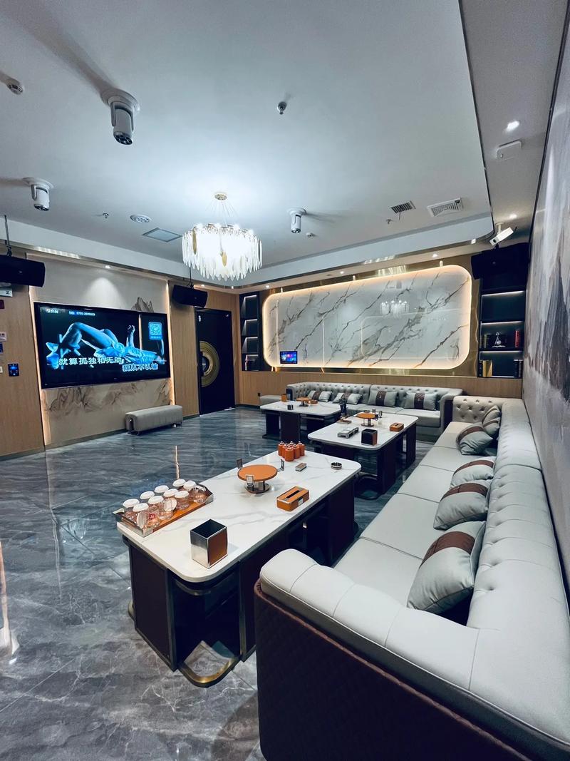 上海商务ktv的新模式-闵行区ktv预订